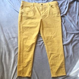 NWT Loft Modern Skinny Crop Size 14/32